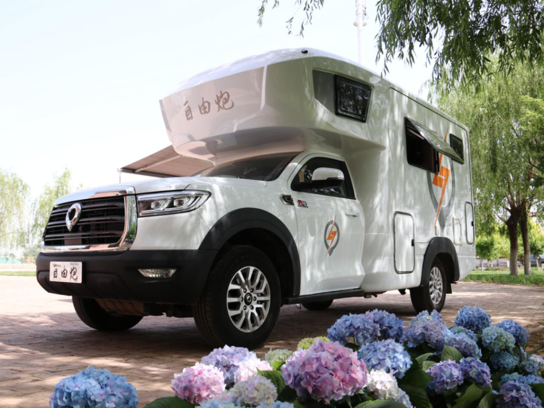 為自由著色！紅、白、藍、棕，你選哪一種？