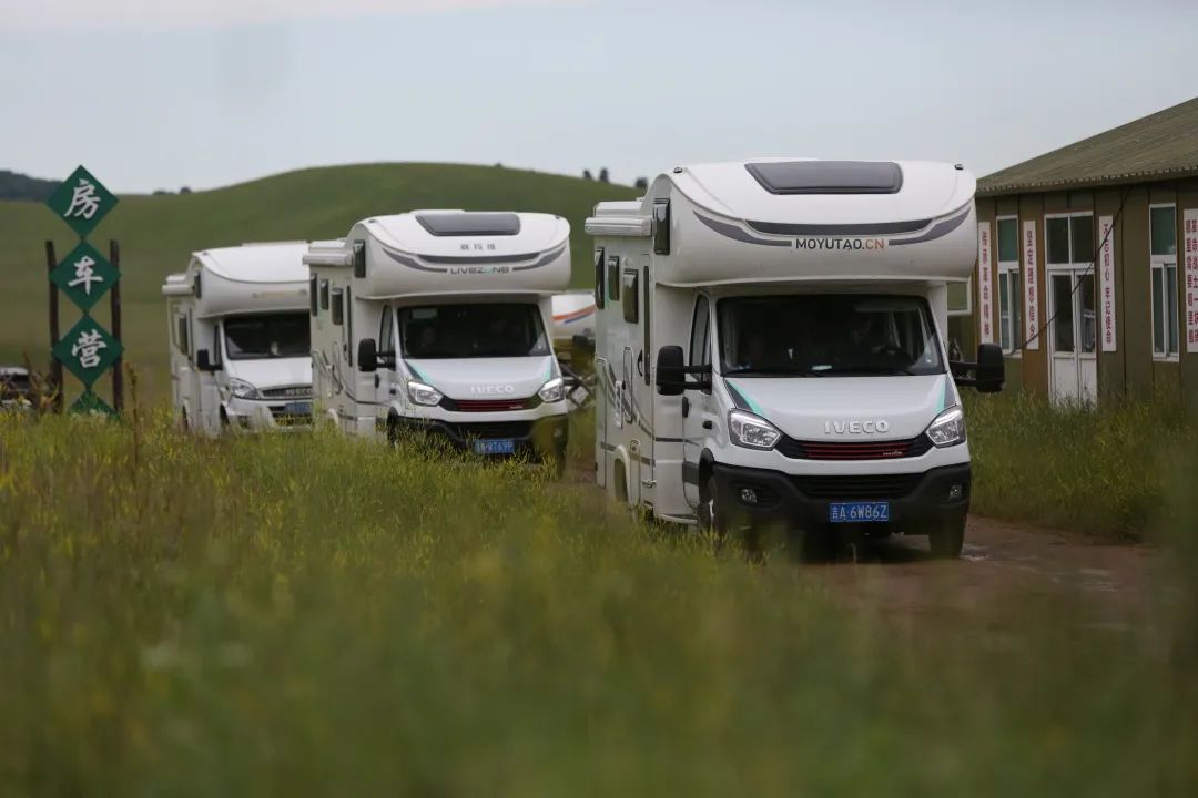 來福,以精致矗立在野性之中 來福,以精致矗立在野性之中